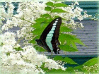 
1837ǯ
12Υ塼ɡ
Op.25
1832ǯ
塼21ѥĹĴ
 ĳΥ塼
 Fryderyk Franciszek Chopin
եǥꥯեѥ 
 Op.25-9

ڳ ɡ