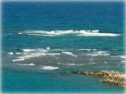 　
　浜辺の歌
　　　　　　　　作詞 林　古渓　
　　　　　　　 作曲 成田為三
　
　　あした浜辺を　さまよえば、
　　　昔のことぞ　忍ばるる。
　　　風の音よ、雲のさまよ、
　　　寄する波も貝の色も。
　
　　　　　　【楽譜 ダウンロード】